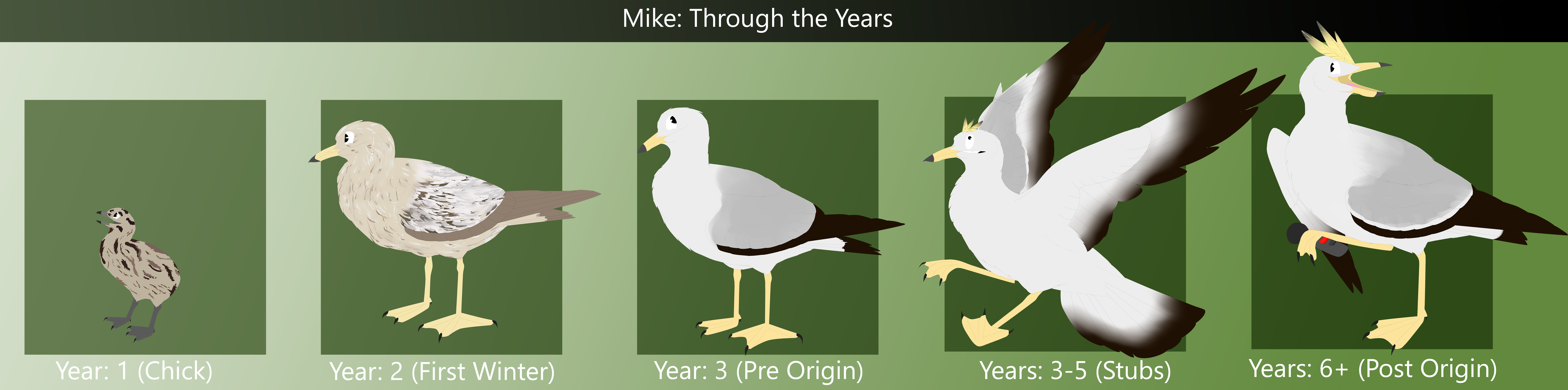 Mike Age Meme