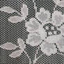 Lace Flower Texture 1