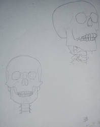 Skeleton - Skull