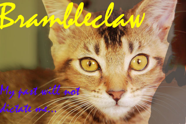 .Brambleclaw.