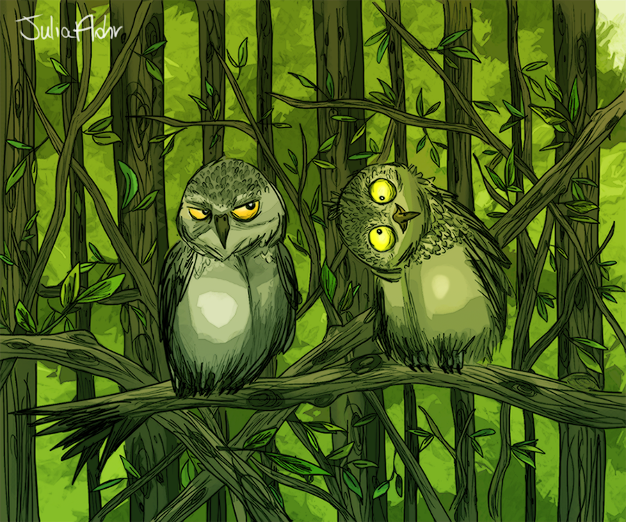 Pissed owl, dumb owl