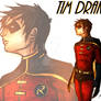 Robin: Tim Drake (young)