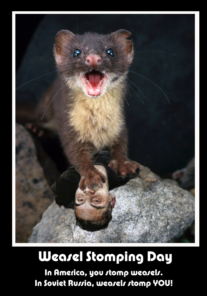 Weasel Stomping Day