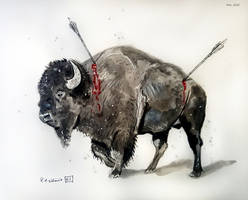 Wounded Bison