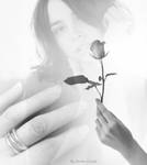 Rose by SevdaCicegi