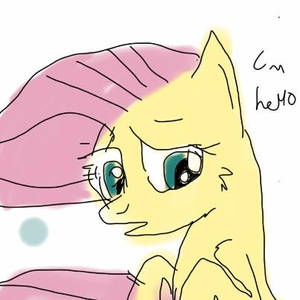 fluttershy