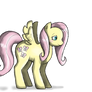 fluttershy