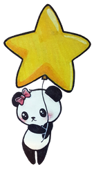 Star Panda