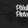 Pitbull Photography
