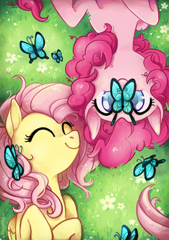 flutterpie