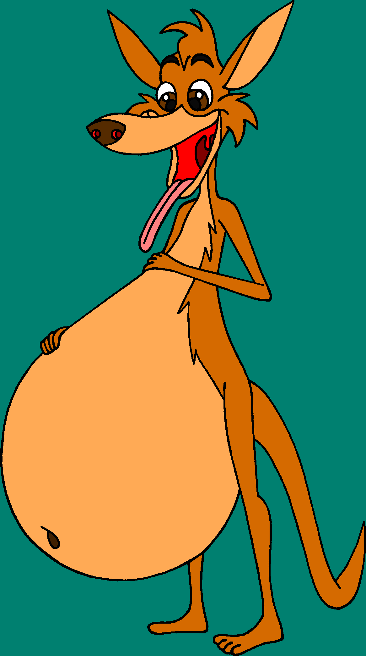 Big Kangaroo Tummy (Color) by Btd11two on DeviantArt