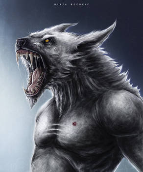 Werewolf by MirzaBecukic