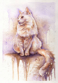 The White Cat