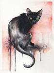 The Black Cat by clockworkartshop