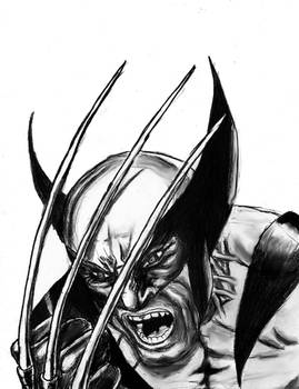 wolverine