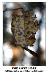 The Last Leaf