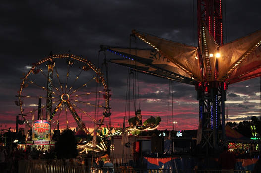 MN State Fair 2010