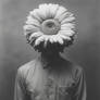 Son of Gerbera