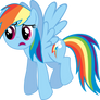 Rainbow Dash Does Not Approve