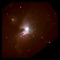The Orion Nebula : M42