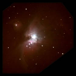 The Orion Nebula : M42