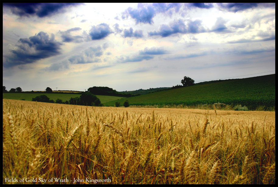 Fields of gold, Sky of wrath