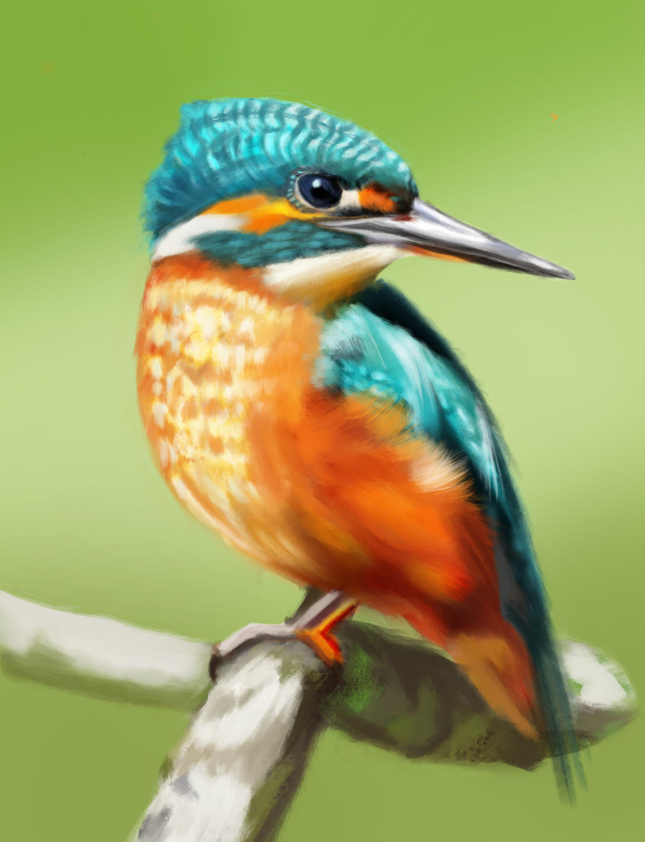 Birdd Birdd by shjnkul on DeviantArt