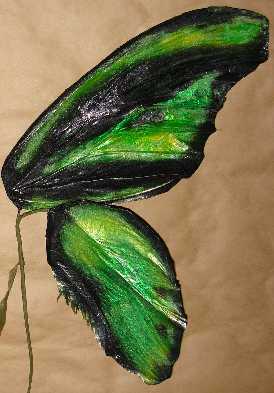 Birdwing butterfly faery wings