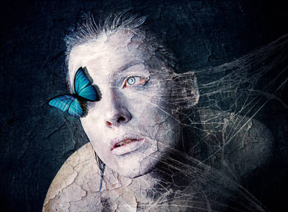 blue butterfly