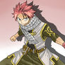 Natsu complete