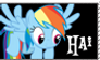 Rainbow Dash Hai