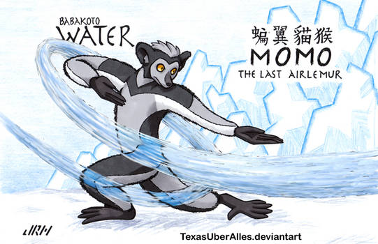 Babakoto The Water Lemur