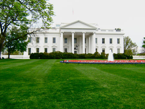 The White House