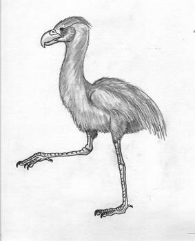 Prehistoric Bird