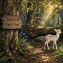 Fairyring