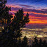 Pastel of Albuquerque From Sandia Peak