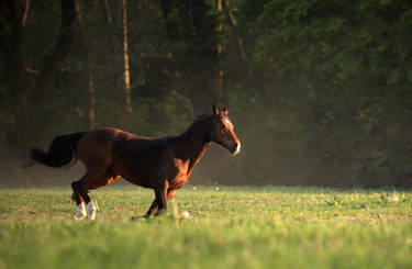 Freedom. In one word.