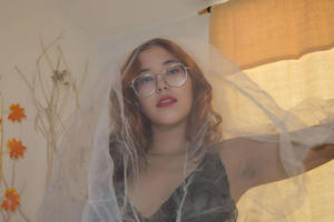 Autumn Veil and Light Portraits Cover