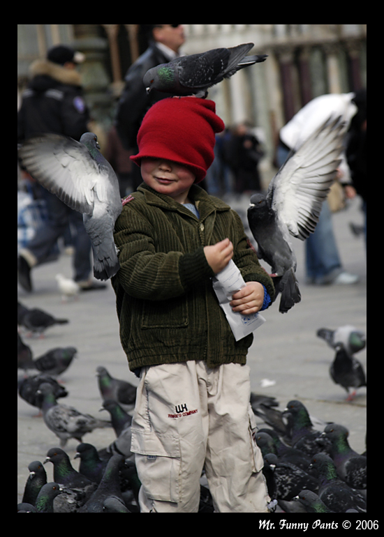 The Venetian Birds, I