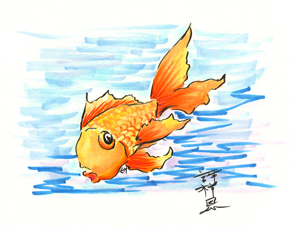 Goldfish