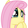 Fluttershy's About To Cry