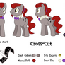 Commission: Cross-Cut Reference Sheet