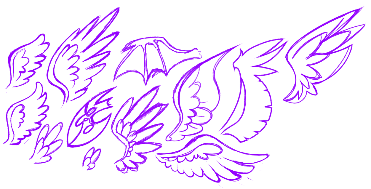 MLP Wing Base Sketch by DriaLampert2002 on DeviantArt
