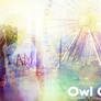 Owl City