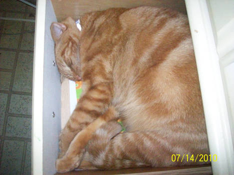 Angel sleeping in a drawer