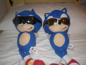 Holiday with Sonic XD