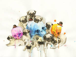 Puppies and Skulls