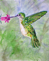 Hummingbird in Blue and Green