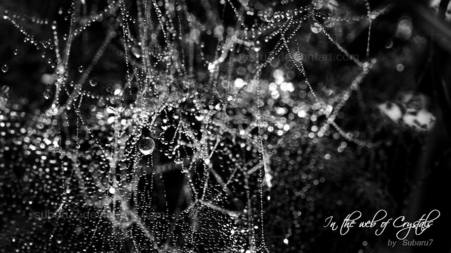 In the web of crystals