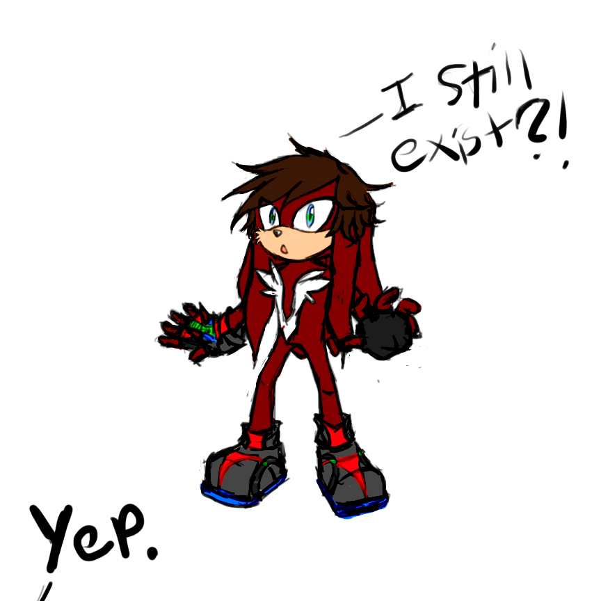 lol remember that one sonic fanchar i had